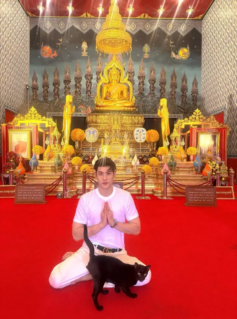 สะเทือน 4 ราศี เดือนมิถุนายน ดาวการเงินได้เกณฑ์ราชาโชค 