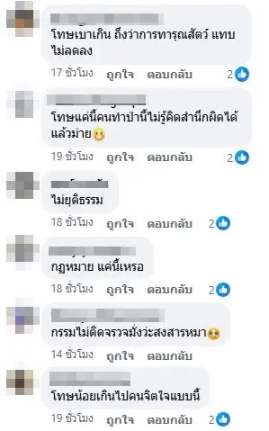 ตัดสินแล้ว คดีน้องมอลลี่ คอมเมนต์ถล่มยับหลังเห็นโทษ