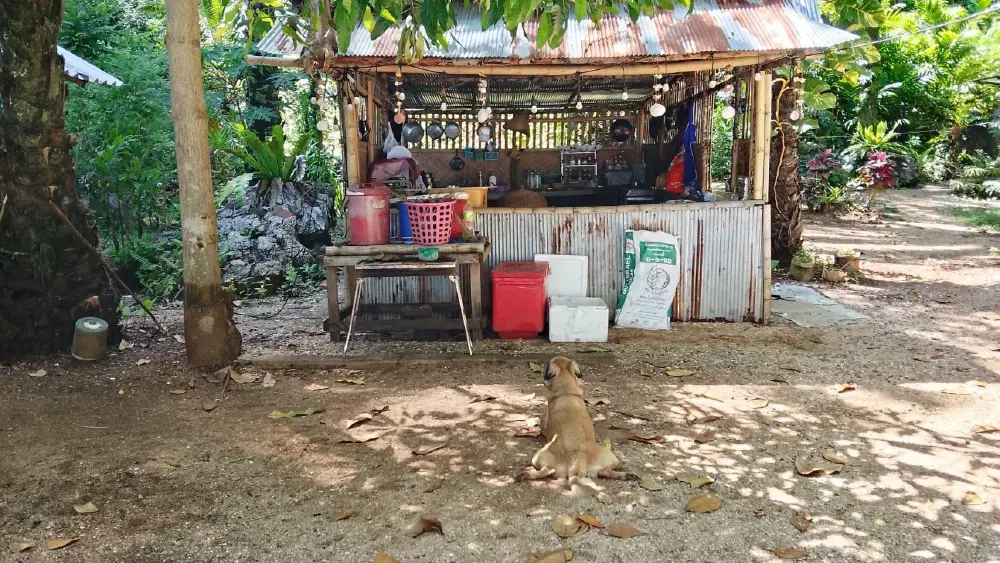 จับหญิงวัย 58 ยึดหาดเขากาโหรดสร้างรีสอร์ตเถื่อนไร้ใบอนุญาต