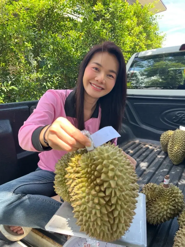 ต่าย อรทัย  ชวนอุดหนุนทุเรียนบ้านเกิด ขายปีแรกลูกโตมาก