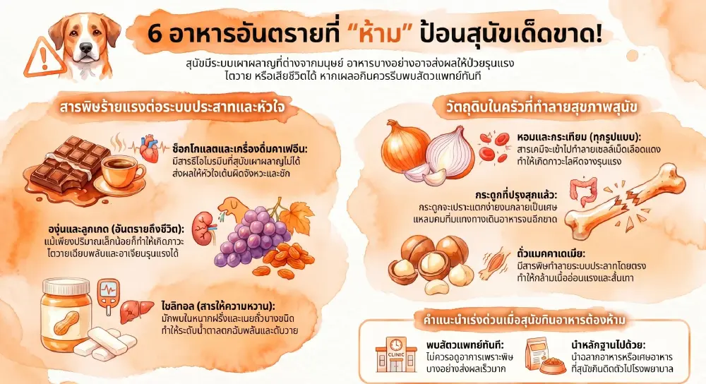 หยุดทำ! 10 อาหารมนุษย์ เป็นอันตรายร้ายแรงต่อสุนัขโดยไม่รู้ตัว