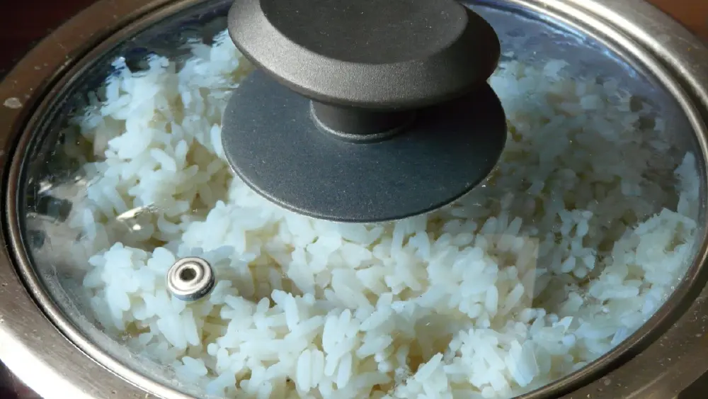 บูดคาหม้อ! ไขปริศนาหุงข้าวตอนเช้าทำไมบูดเร็วพร้อมวิธีแก้