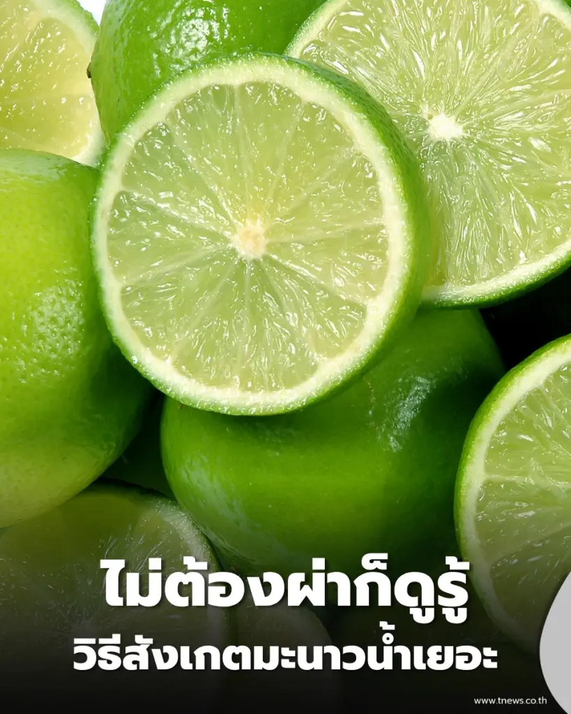 มะนาวน้ำเยอะดูยังไง รวมวิธีเลือกมะนาวก่อนซื้อ ไม่ต้องผ่าก็รู้