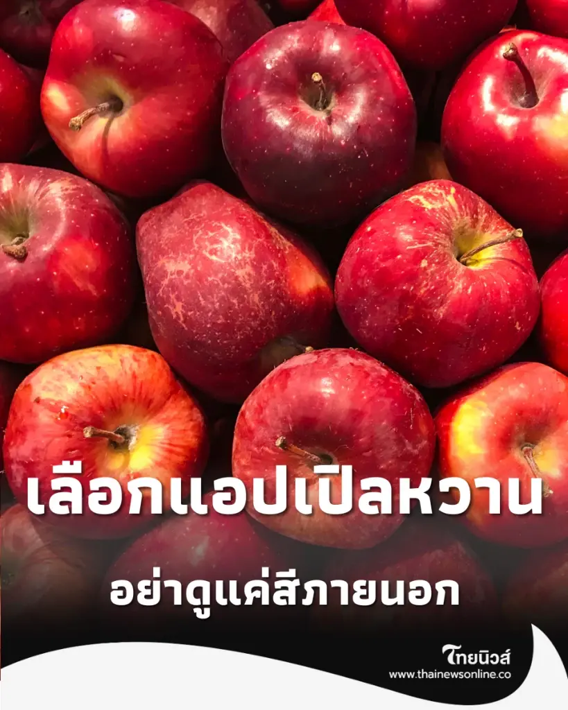 เลือกแอปเปิลหวาน 3 วิธีเลือกแอปเปิลให้หวานกรอบ