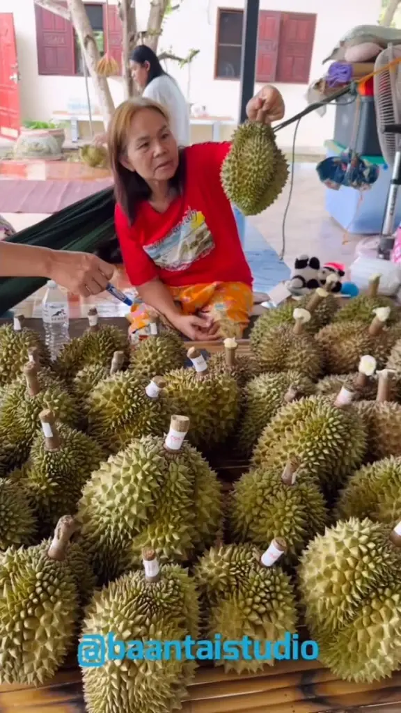 ต่าย อรทัย  ชวนอุดหนุนทุเรียนบ้านเกิด ขายปีแรกลูกโตมาก