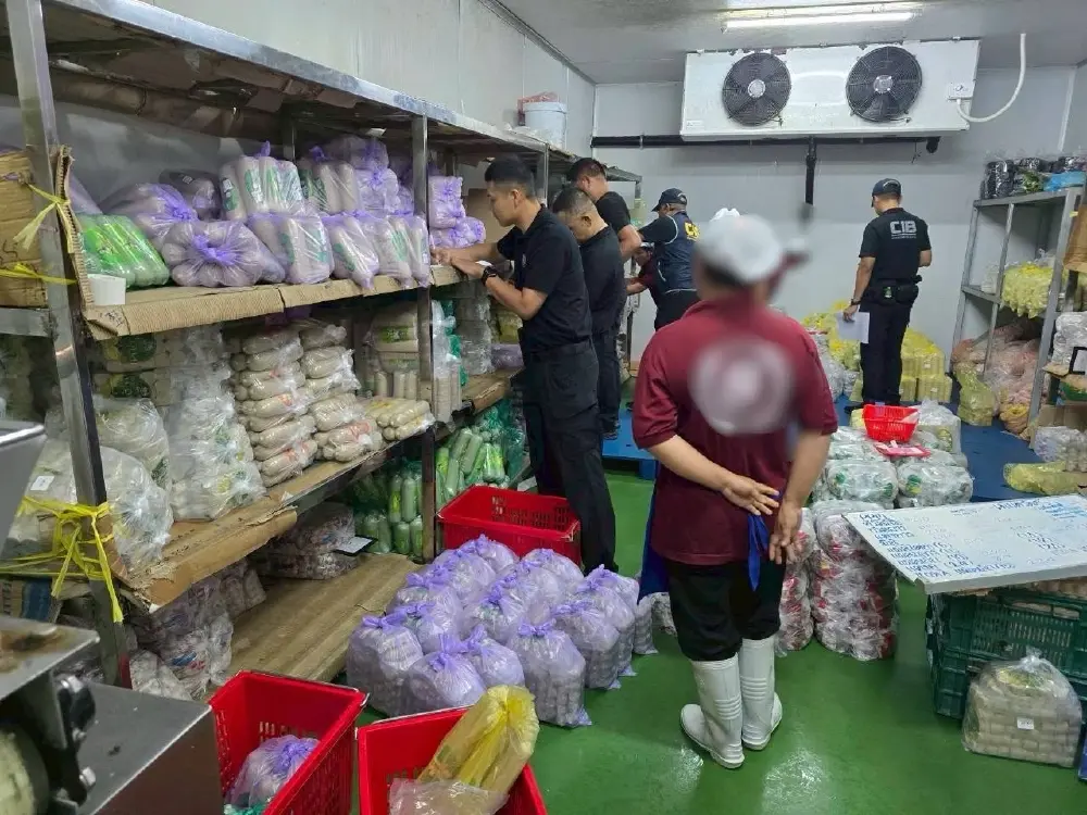 เปิด 20 ยี่ห้อ หมูยอ-ลูกชิ้นเถื่อน ขายทั่วไทย ล็อตใหญ่ 7 ล้าน