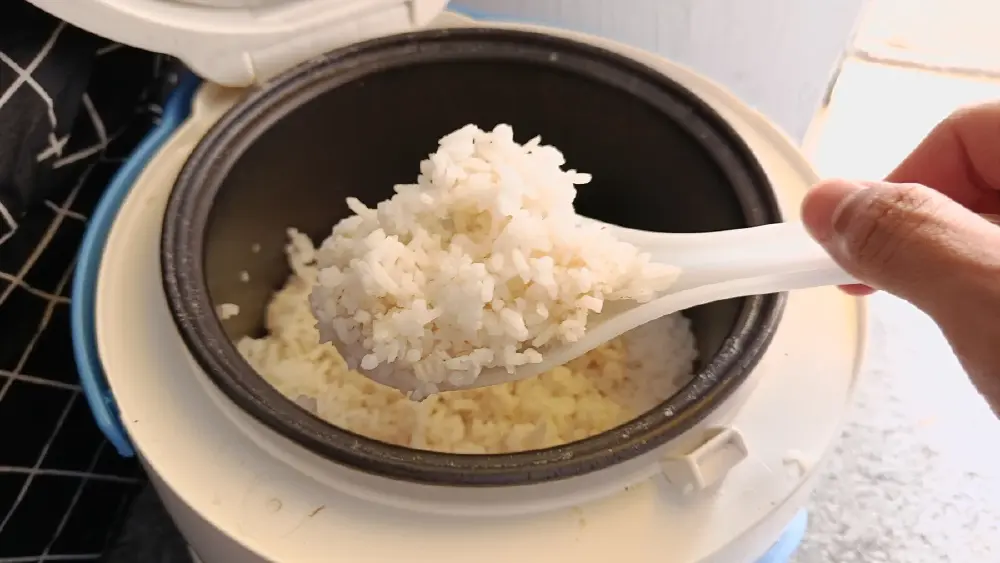 บูดคาหม้อ! ไขปริศนาหุงข้าวตอนเช้าทำไมบูดเร็วพร้อมวิธีแก้