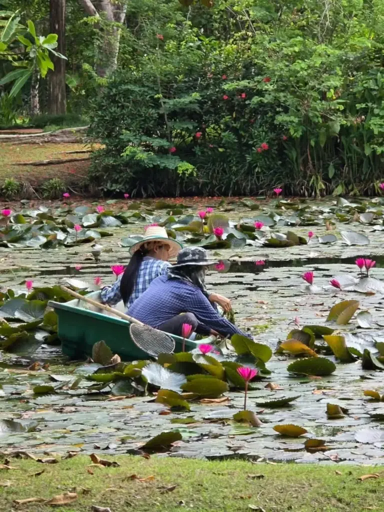 ชีวิตในฝัน! ป้าจิ๊ อัจฉราพรรณ เปิดภาพบ้านสวนสุดสงบ เผยมุมพักใจ
