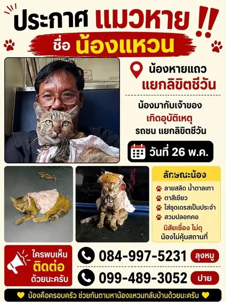 เกือบ 1 เดือน ลุงหมูยังเฝ้าตามหา น้องแหวน แมวหายวันเกิดอุบัติเหตุ