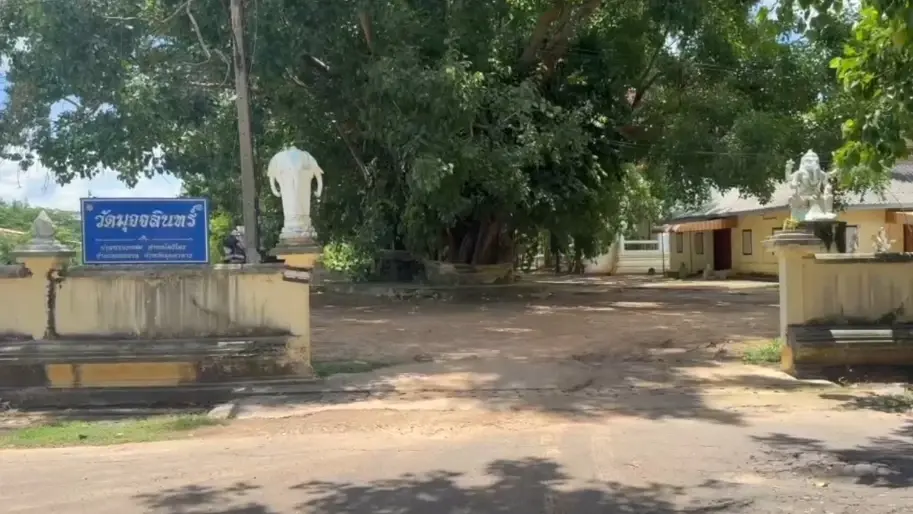 ฮือฮาหัวปริศนาโผล่ต้นโพธิ์เก่าแก่ ชาวบ้านแห่ดูเชื่อให้โชคใหญ่!