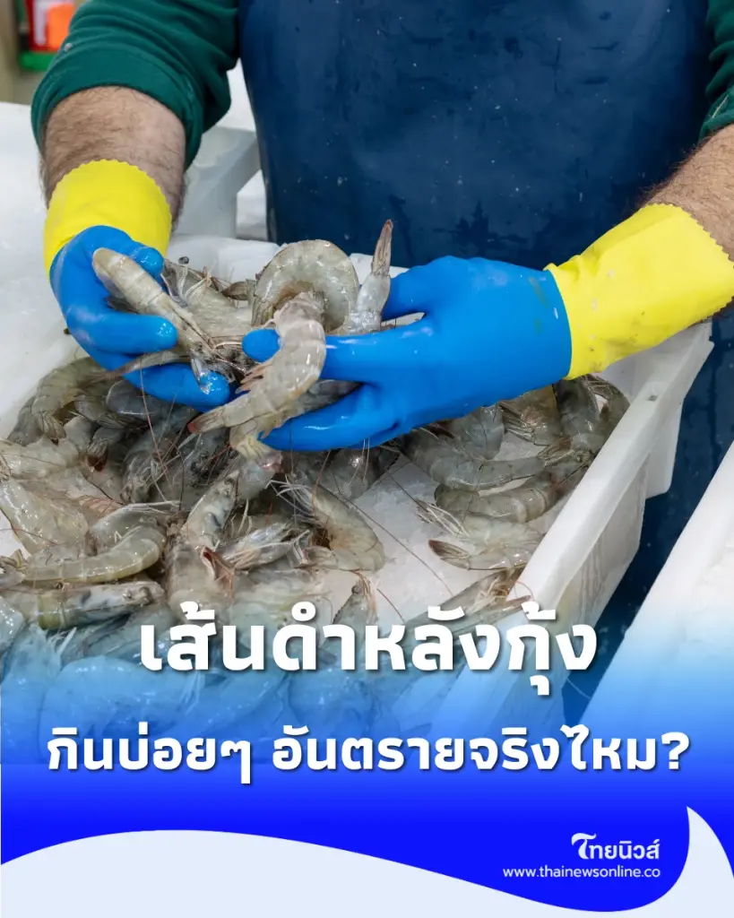 เผลอกิน เส้นดำที่หลังกุ้ง เข้าไป เป็นอันตรายต่อร่างกายไหม ล่าสุดมีคำตอบแล้ว
