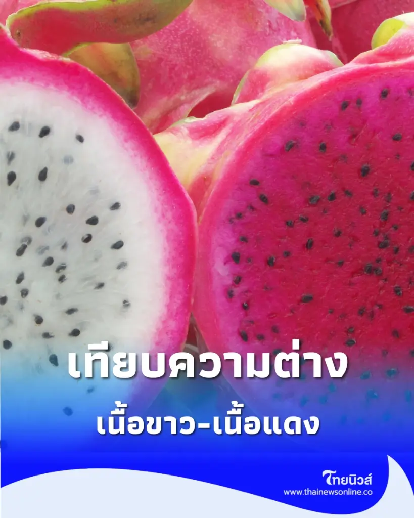 ไขข้อข้องใจ แก้วมังกร ขาวหรือแดง เลือกกินอย่างไรให้ตรงใจสายสุขภาพ