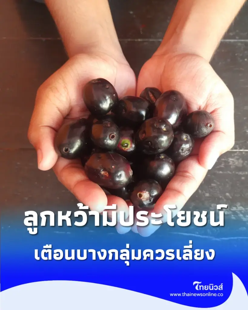 ลูกหว้า ผลไม้โบราณสีม่วงเข้ม สรุปแล้วดีต่อสุขภาพจริง หรือแค่กระแส