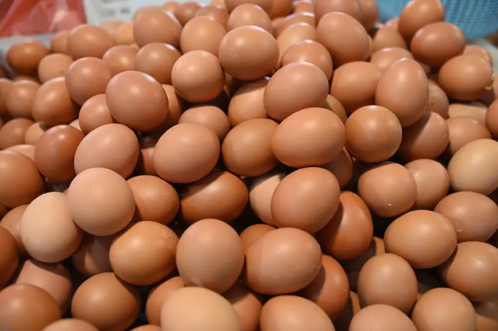 ไข่ไก่ไม่ขึ้นแล้ว คนไทยมีเฮ พาณิชย์ชี้ ส.ค.มีลุ้นถูกลง