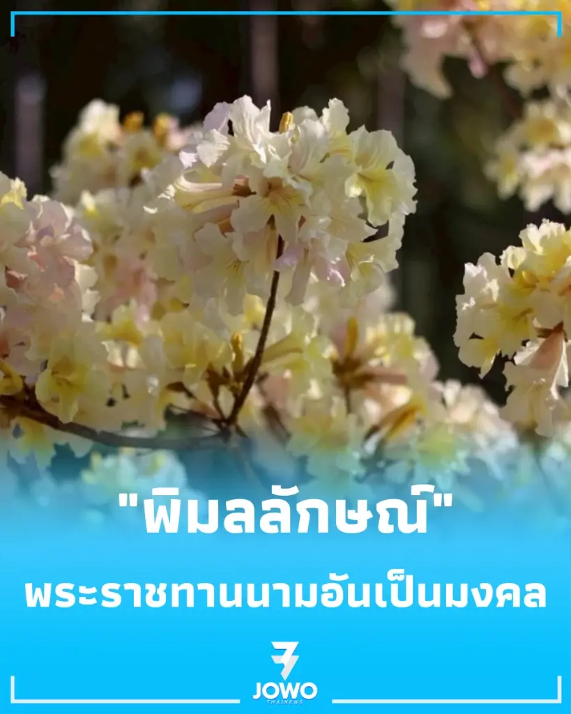 ในหลวง พระราชทานนามพรรณไม้ใหม่ พิมลลักษณ์ เฉลิมพระเกียรติ พระบรมราชิน เนื่องในโอกาส 4 รอบ