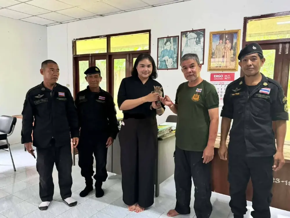 ด่วน! พบลูกแมวดาวหลงฝูงสภาพอ่อนแรงที่ลำปาง เร่งยื้อชีวิตคืนสู่ป่า