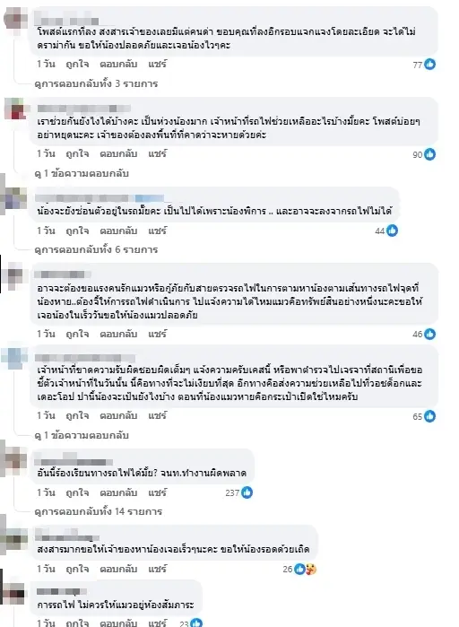 สงสารจับใจ เจ้าของเล่านาที ใจแทบสลาย "แมวพิการ" หายบนรถไฟ