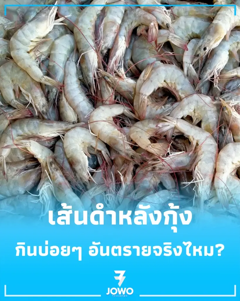 เผลอกิน เส้นดำที่หลังกุ้ง เข้าไป เป็นอันตรายต่อร่างกายไหม ล่าสุดมีคำตอบแล้ว