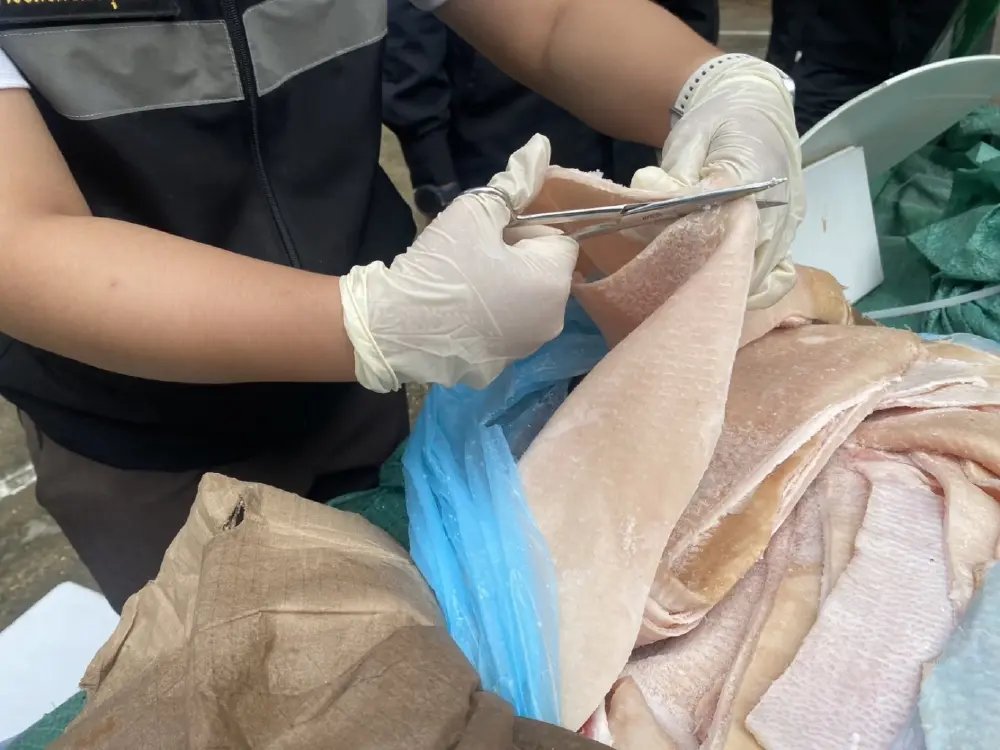 สกัดจับกระบะตู้ทึบขนหนังหมูเยอรมนีหนีภาษี 720 กิโลฯ คาถนน