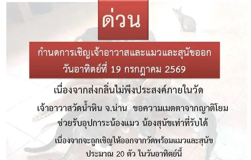 โต้ข่าวลือขับไล่พระ! ยันแค่ต้องการเคลียร์หมาแมวแก้ปัญหาวัด