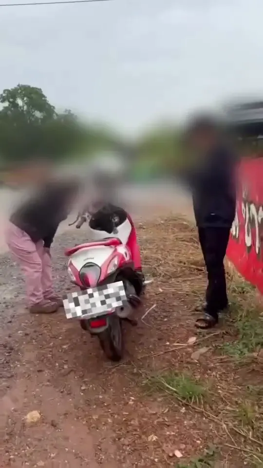 "เปิ้ล นาคร" โพสต์คลิปเตือนสติ มอเตอร์ไซค์ย้อนศรพุ่งชน 