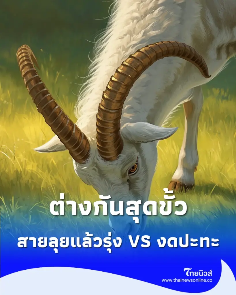 เช็กดวงชะตาในช่วงนี้ บางราศียิ่งลุยยิ่งปัง บางราศีต้องเลี่ยงปะทะ