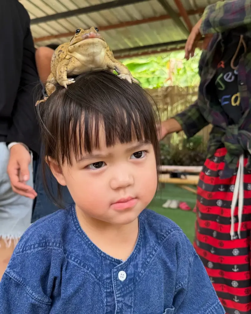 เอ็นดูไม่ไหว ลูกสาว แพทริเซีย ในวัย 3 ขวบ โชว์สกิลสายลุย