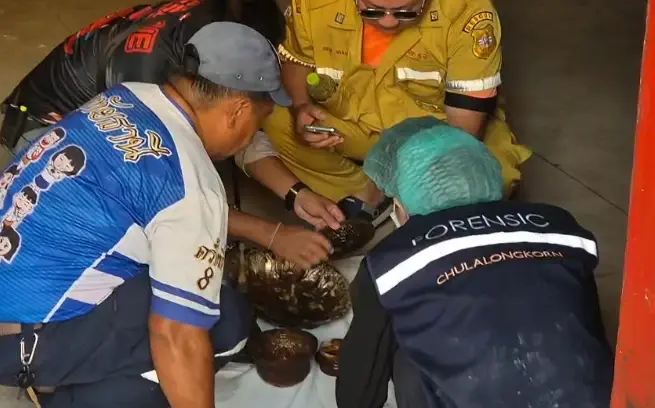 หายสงสัย วัดธาตุทอง แจงชัด หีบปริศนาใต้พระวิหาร ที่แท้เป็นใคร