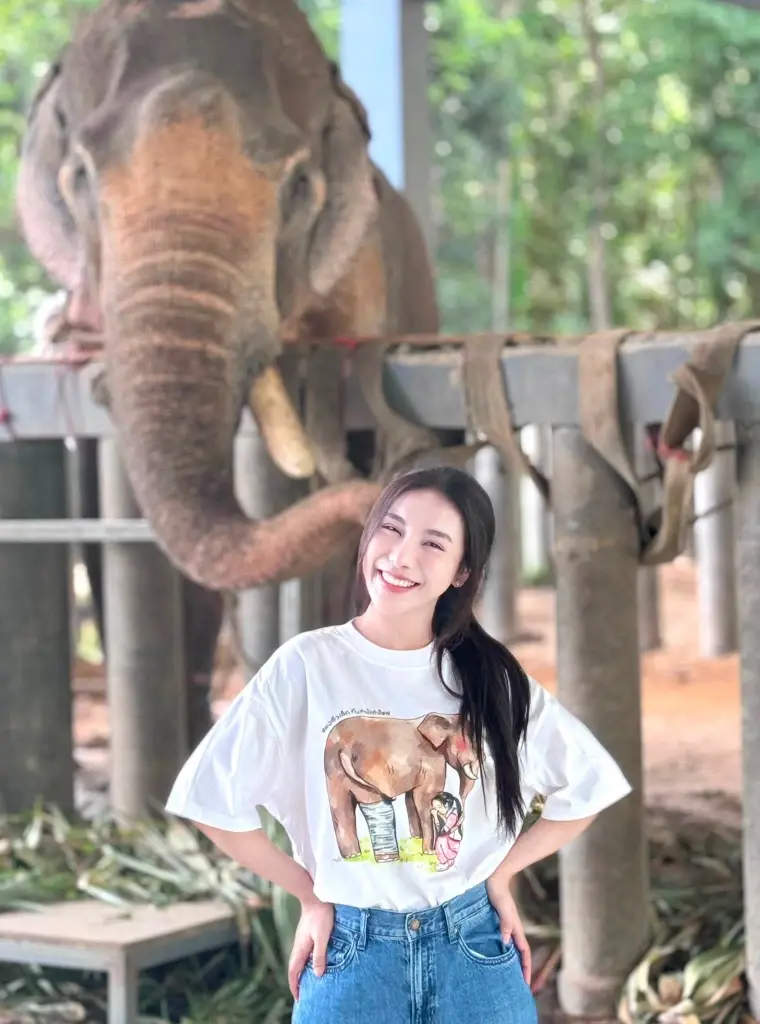 "หมอโบว์"เผยเอง ภาพเอกซเรย์ "พี่เดียว" ช้างขาหัก เห็นแล้วชื่นใจ