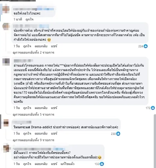 สงสารจับใจ เจ้าของเล่านาที ใจแทบสลาย "แมวพิการ" หายบนรถไฟ