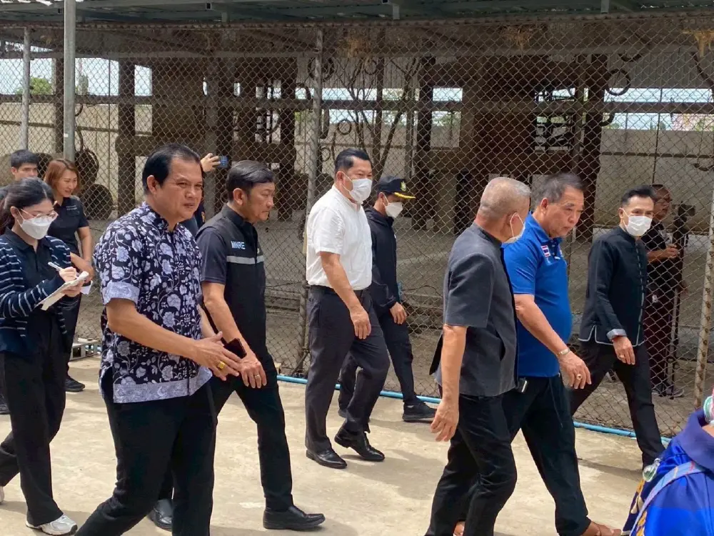เร่งล่าจับวุ่น! ลพบุรีสนธิกำลังจับลิงหลุดกรงจับได้แล้ว 91 ตัว