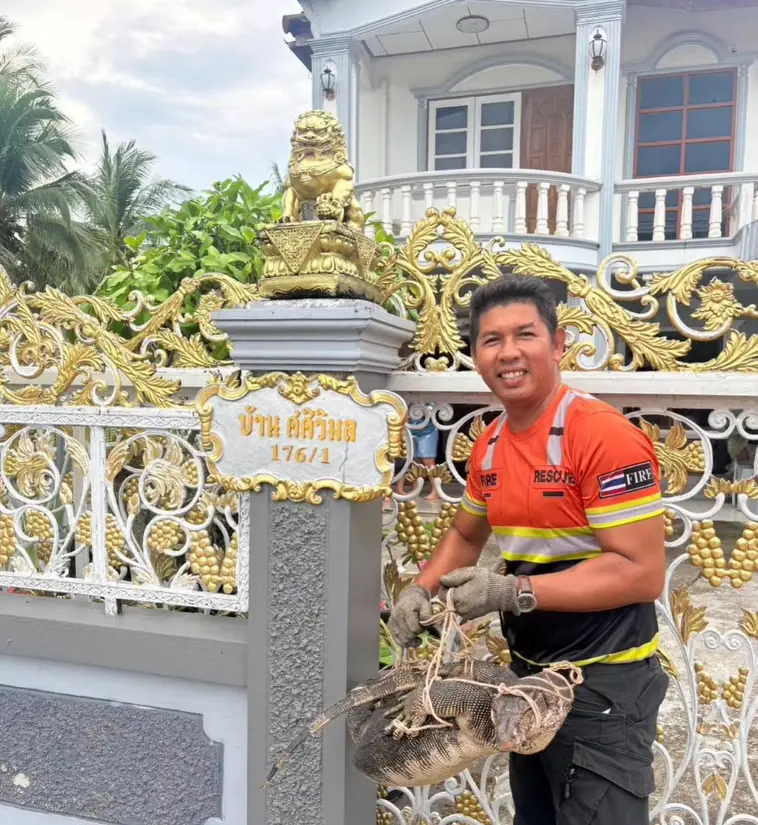 ฮือฮา ตัวเงินตัวทองบุกบ้าน ซ่อนตัวในห้องน้ำ แห่ขอบ้านเลขที่