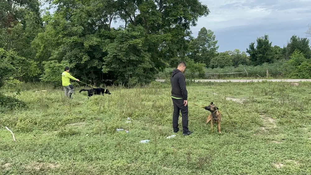 เร่งระดม K9 ค้นหา 2 พี่น้องรัสเซียสูญหายในชลบุรี