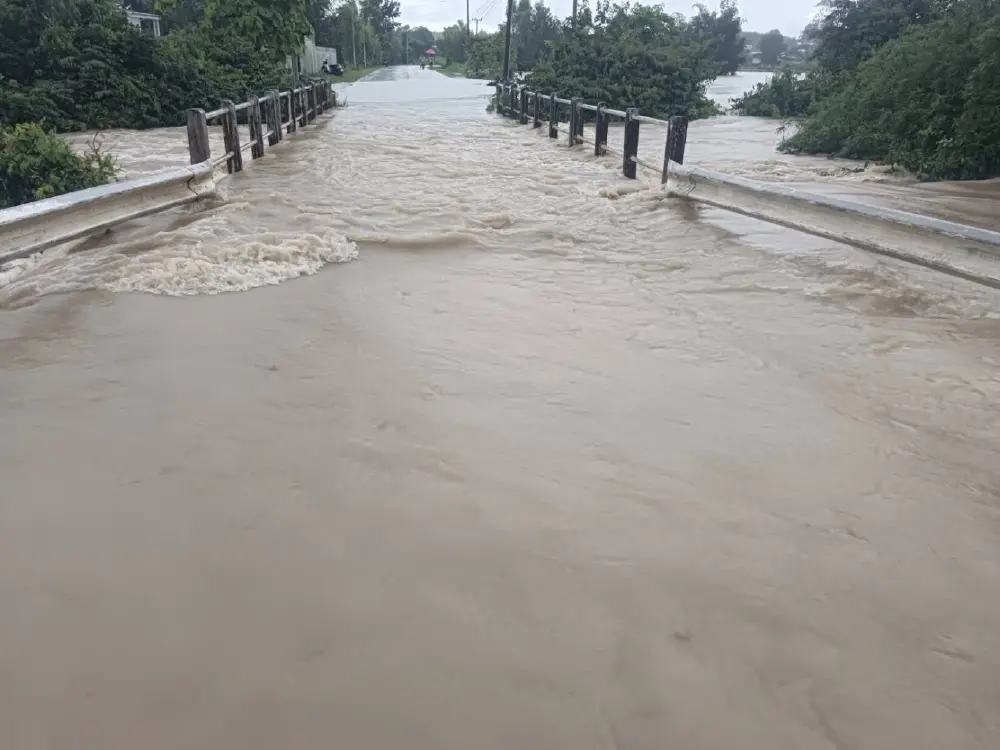 ฝนกระหน่ำอำเภอท่าอุเทน ดันน้ำลำห้วยเอ่อล้นท่วมบ้านเรือน