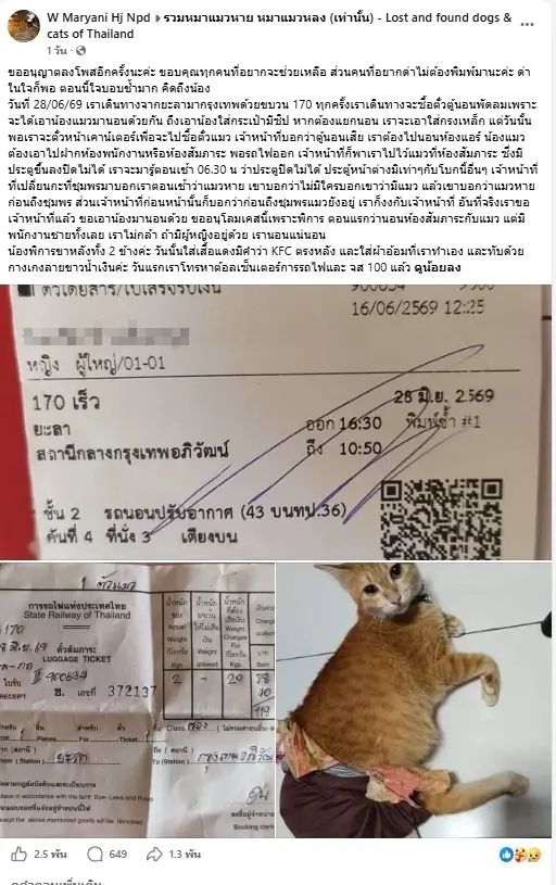 สงสารจับใจ เจ้าของเล่านาที ใจแทบสลาย "แมวพิการ" หายบนรถไฟ