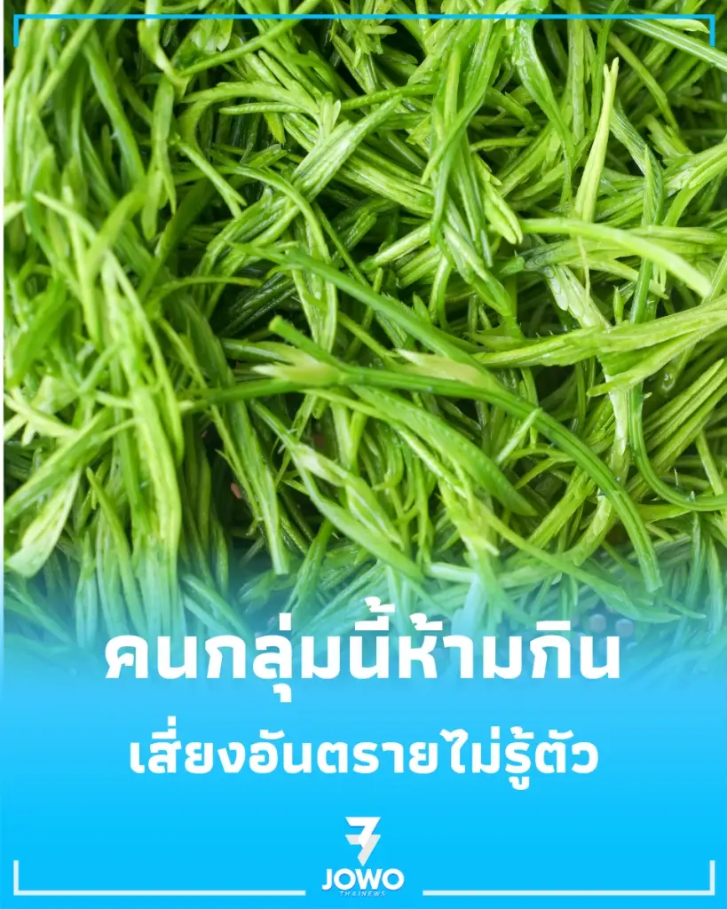 เช็ก 4 กลุ่มเสี่ยงไม่ควรกิน ชะอม อร่อยได้แต่ไม่ได้ปลอดภัยกับทุกคน