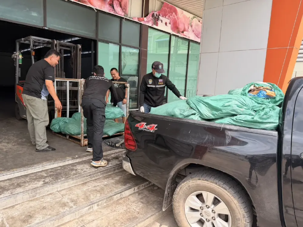 สกัดจับกระบะตู้ทึบขนหนังหมูเยอรมนีหนีภาษี 720 กิโลฯ คาถนน