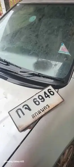 เจ้าของเปิดท้ายรถ เจอผึ้งทำรังเต็มคัน ชาวเน็ตแห่ส่องทะเบียน