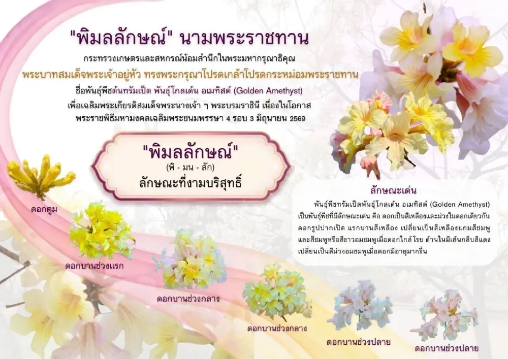 ในหลวง พระราชทานนามพรรณไม้ใหม่ พิมลลักษณ์ เฉลิมพระเกียรติ พระบรมราชิน เนื่องในโอกาส 4 รอบ