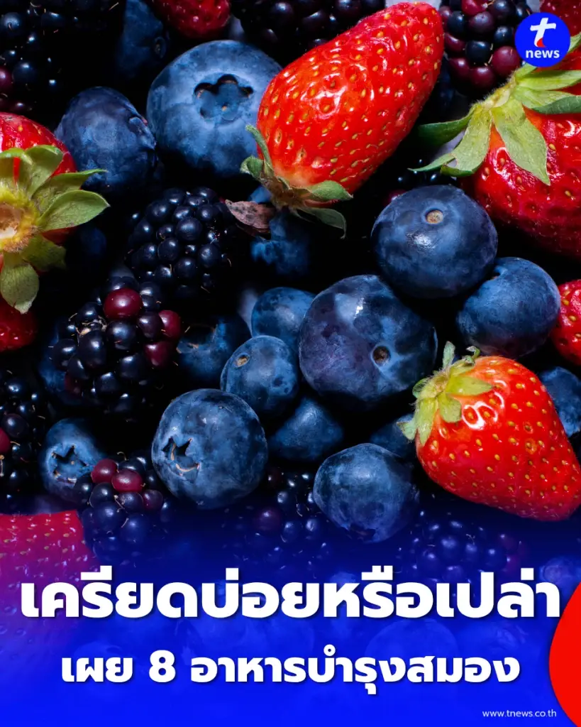 8 อาหารบำรุงสมอง ดับฮอร์โมนเครียด-อารมณ์ดีขึ้นจริง