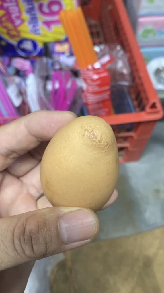 ฮือฮา พ่อค้าร้านชำพบ ไข่ไก่รูปร่างประหลาด เตรียมเก็บลุ้นโชค