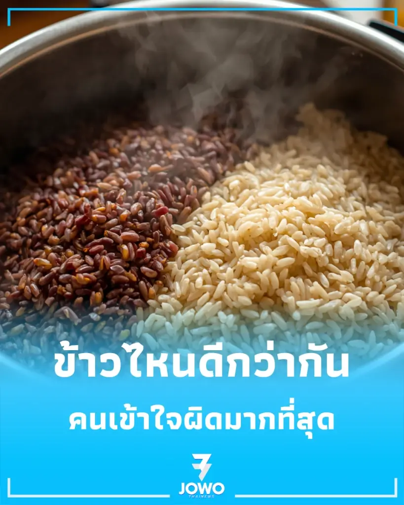 ไขข้อสงสัย ข้าวกล้อง กับ ข้าวไรซ์เบอร์รี่ อันไหนดีกว่ากัน