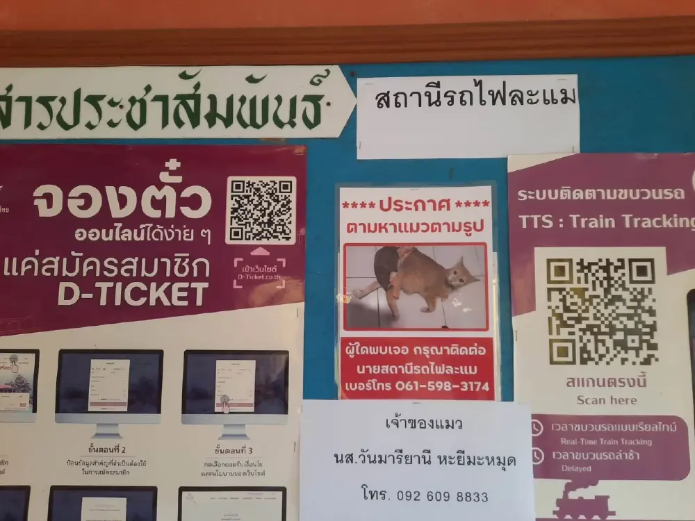 รฟท. เร่งค้นหาแมวพิการหายบนขบวนรถไฟ ยะลา-กรุงเทพฯ
