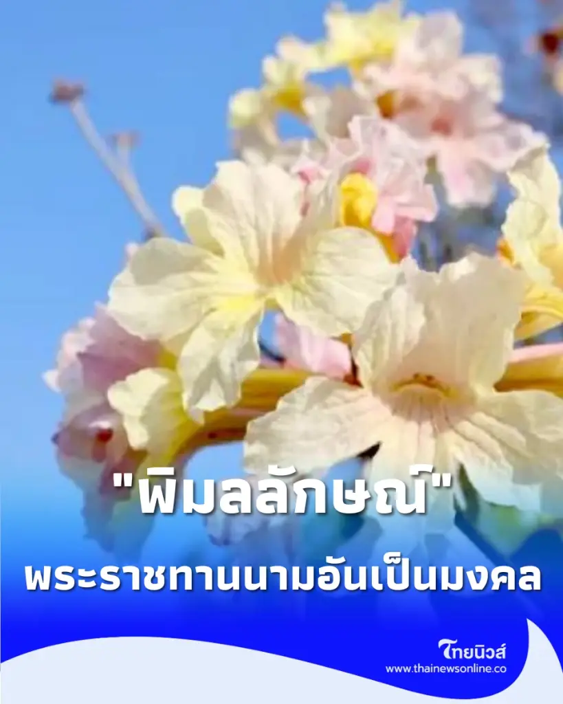 ในหลวง พระราชทานนามพรรณไม้ใหม่ พิมลลักษณ์ เฉลิมพระเกียรติ พระบรมราชิน เนื่องในโอกาส 4 รอบ