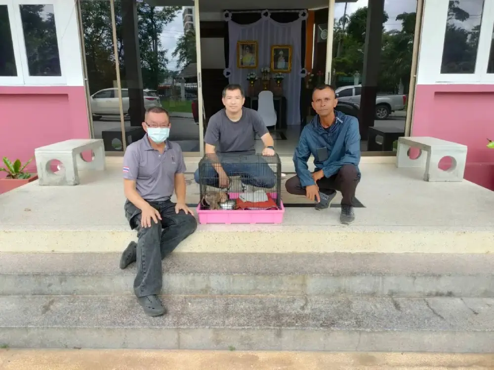 นาทีชีวิต! ช่วย ลูกลิงพลัดหลง กลางเมืองภูเก็ต รอดปาฏิหาริย์