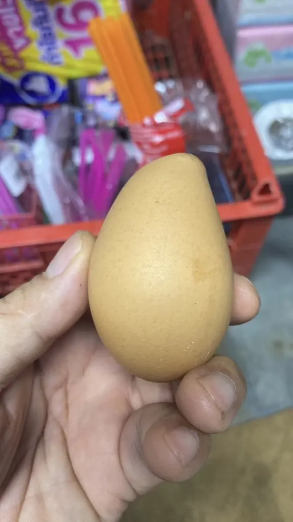 ฮือฮา พ่อค้าร้านชำพบ ไข่ไก่รูปร่างประหลาด เตรียมเก็บลุ้นโชค