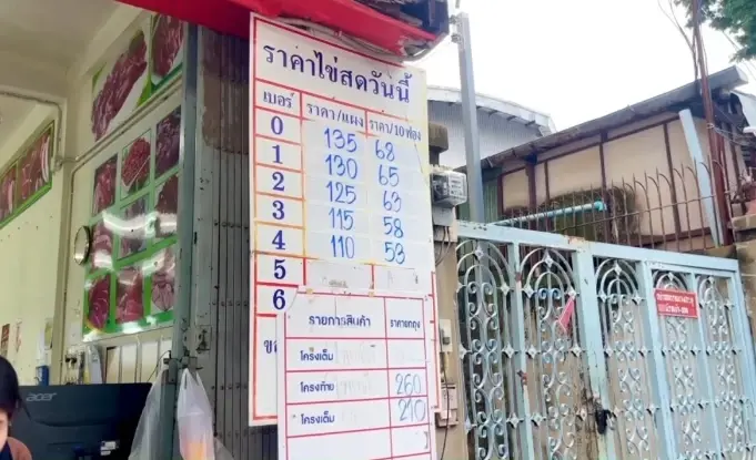 วิกฤตไข่แพงพ่นพิษ! ร้านค้าส่งสุรินทร์ทรุด ลูกค้าหายเกลี้ยง
