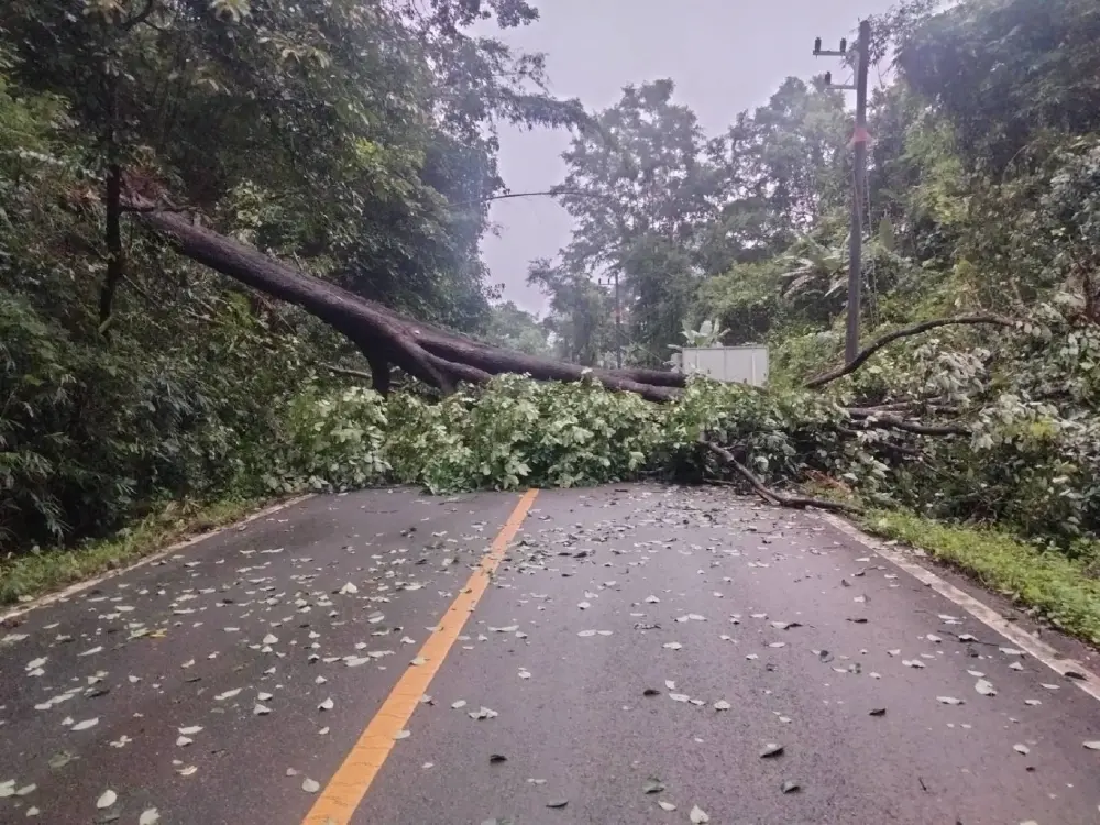 ฝนตกหนักแม่ฮ่องสอน ทำน้ำป่าทะลัก เตือนพื้นที่เสี่ยงรับมือ