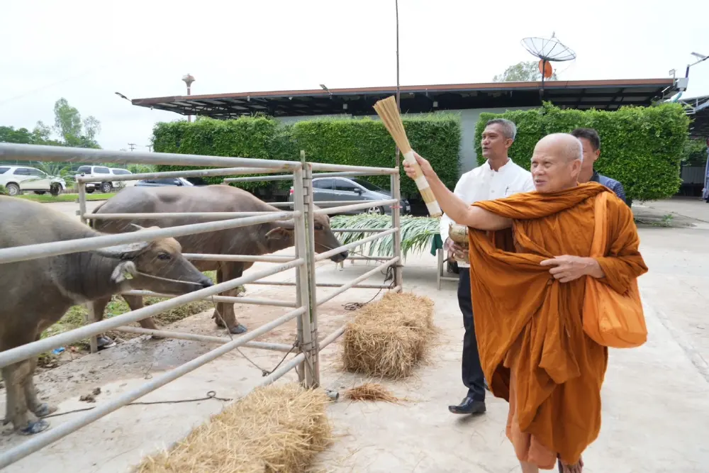 จาก "ไถ่ชีวิต" สู่ "สร้างชีวิต" มูลนิธิเจริญโภคภัณฑ์ ต่อยอดโครงการฟาร์มกระบือสมัยใหม่