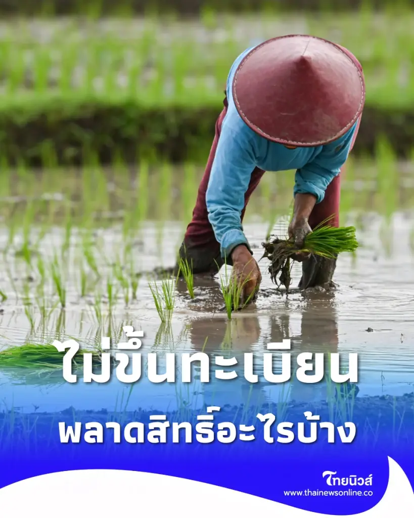 เตือนเกษตรกร ไม่ขึ้นทะเบียน อาจชวดเงินเยียวยา-พลาดหลายโครงการ